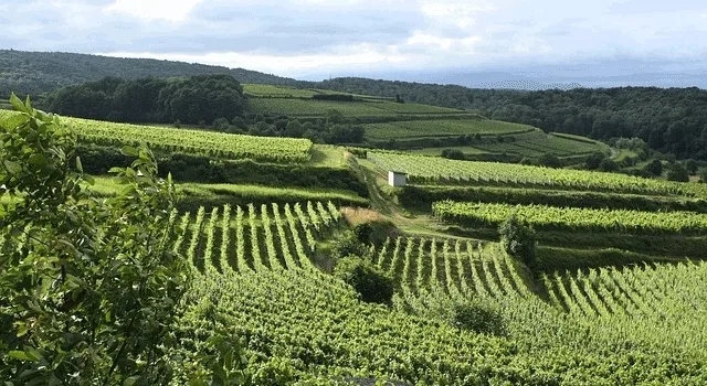 Τα χαρακτηριστικά του αγροτικού τομέα σήμερα