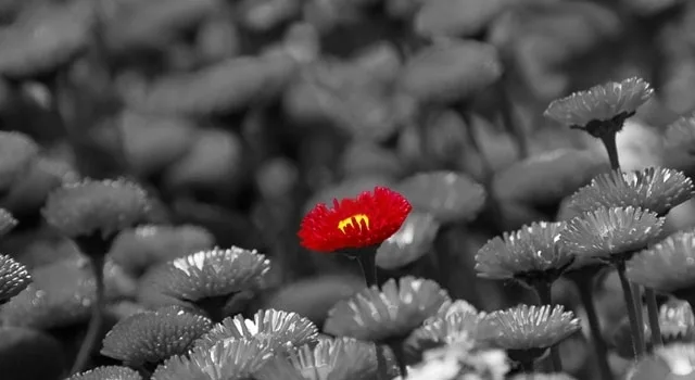 Ενισχύστε τη δύναμη της επιχείρησής σας μέσα από την εικόνα του εαυτού σας