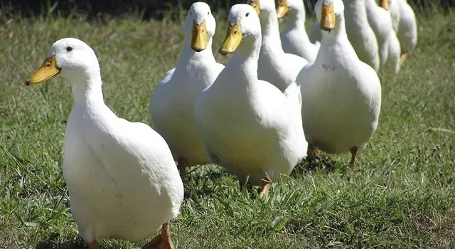 Τα αγροδιατροφικά μας προϊόντα followers στις διεθνείς αγορές