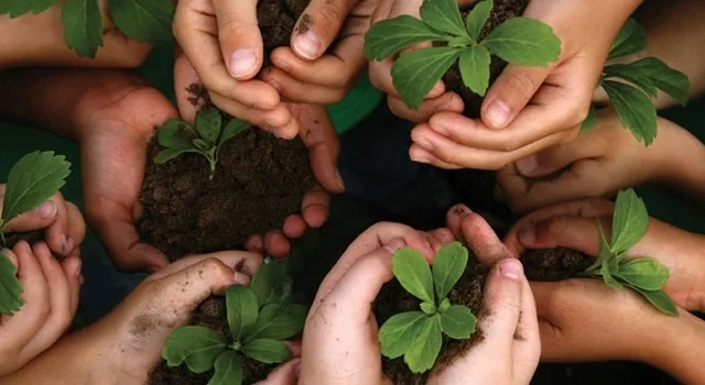 Υπεύθυνη Επιχειρηματικότητα. Πολυτέλεια ή Ανάγκη;