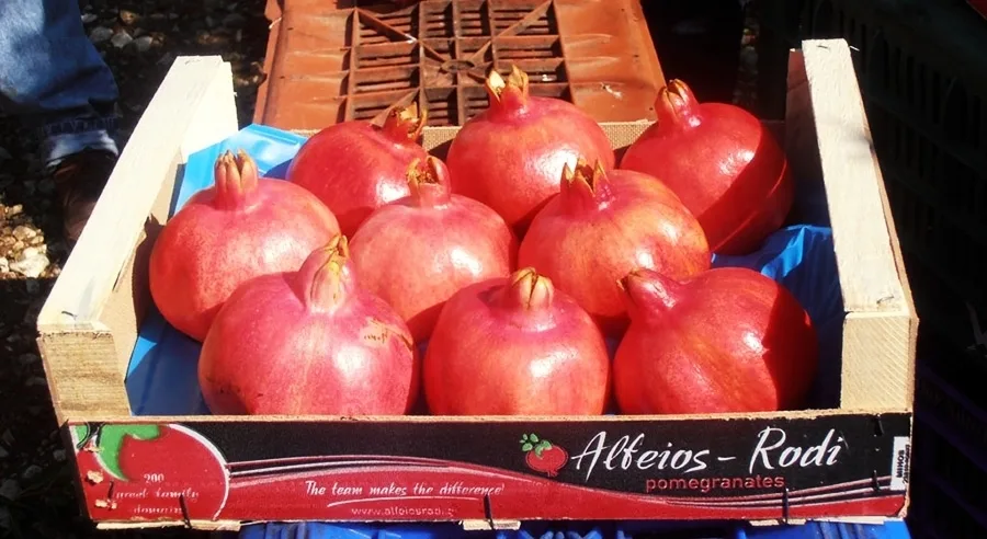 Το ελληνικό ρόδι καρπός κοινωνικής επιχειρηματικότητας