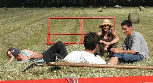 Η συνέργεια ως στρατηγική ανάπτυξης αγροδιατροφικών επιχειρήσεων