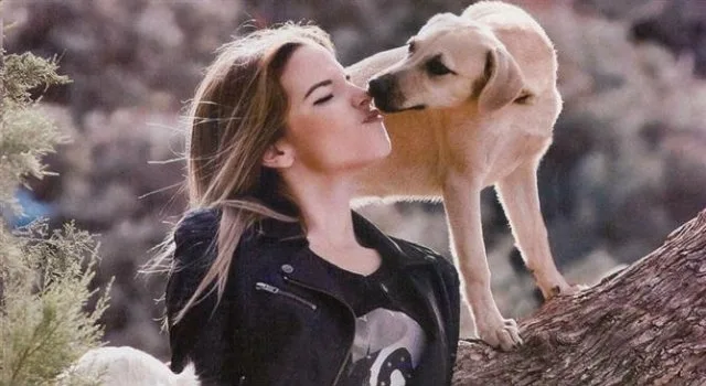 Save a Greek Stray: Η αλλαγή στη ζωή των ζώων έρχεται μέσα από την ευαισθητοποίηση των ανθρώπων