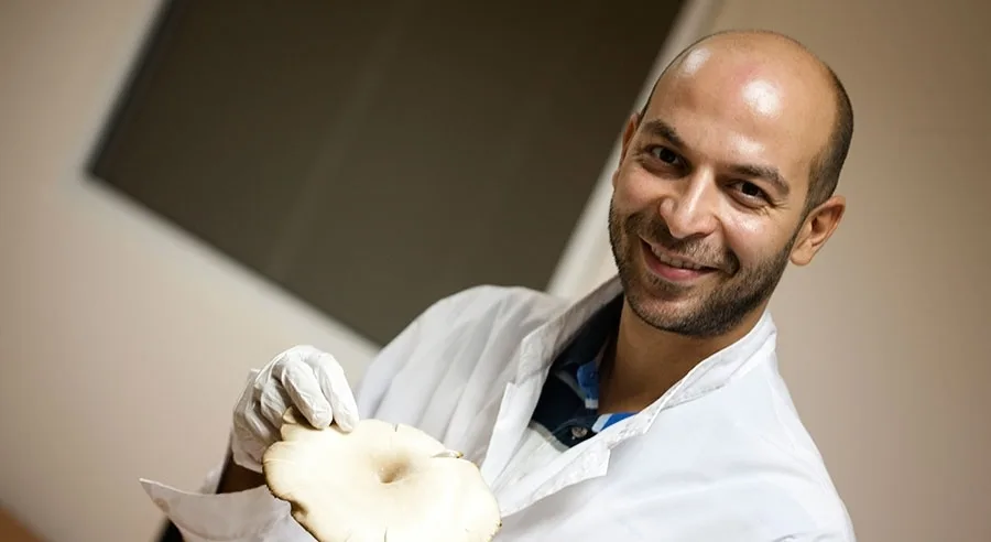 Mushroom Art: Τα μανιτάρια που καλλιεργούνται στην πόλη