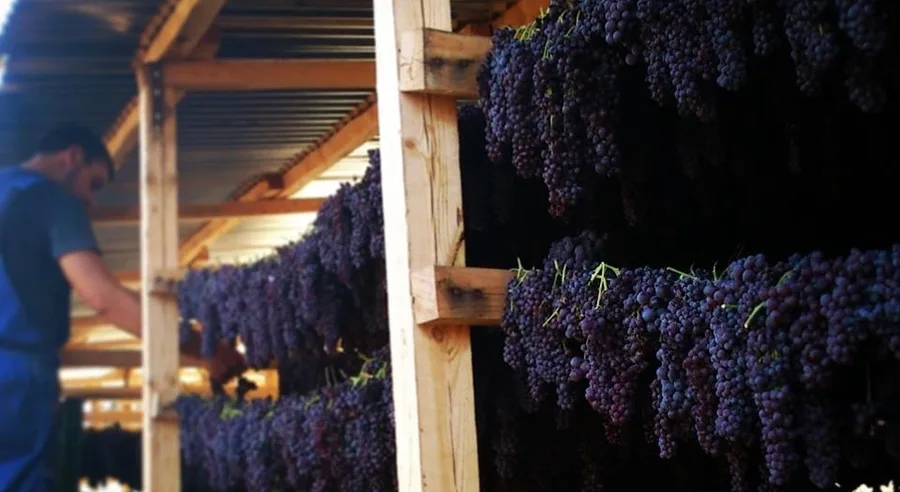 Η αναβίωση του "μαύρου χρυσού" της Κορίνθου