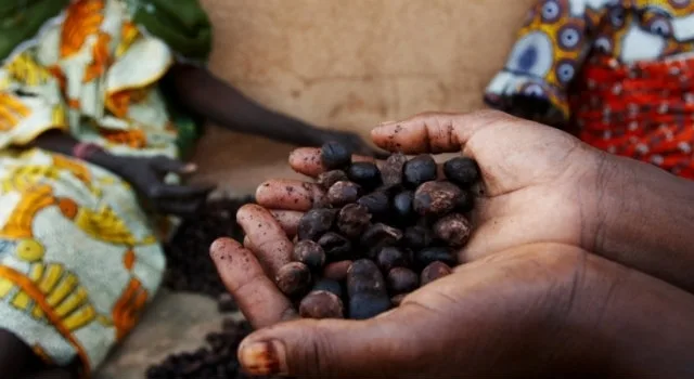 Είναι η Αφρική το μέλλον της κατανάλωσης και των εξαγωγών;
