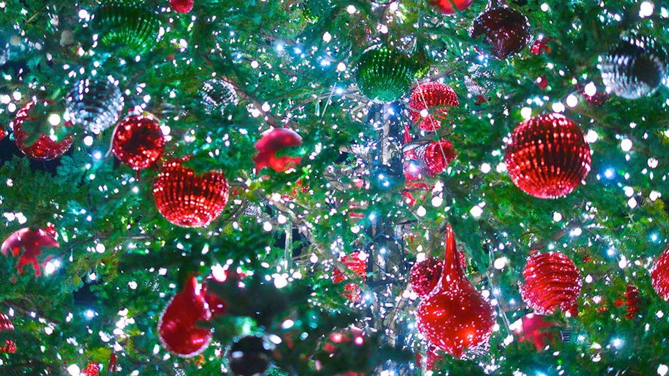 Χριστουγεννιάτικες αγορές: 59% των καταναλωτών σκοπεύουν να ξοδέψουν περίπου τα ίδια με πέρυσι