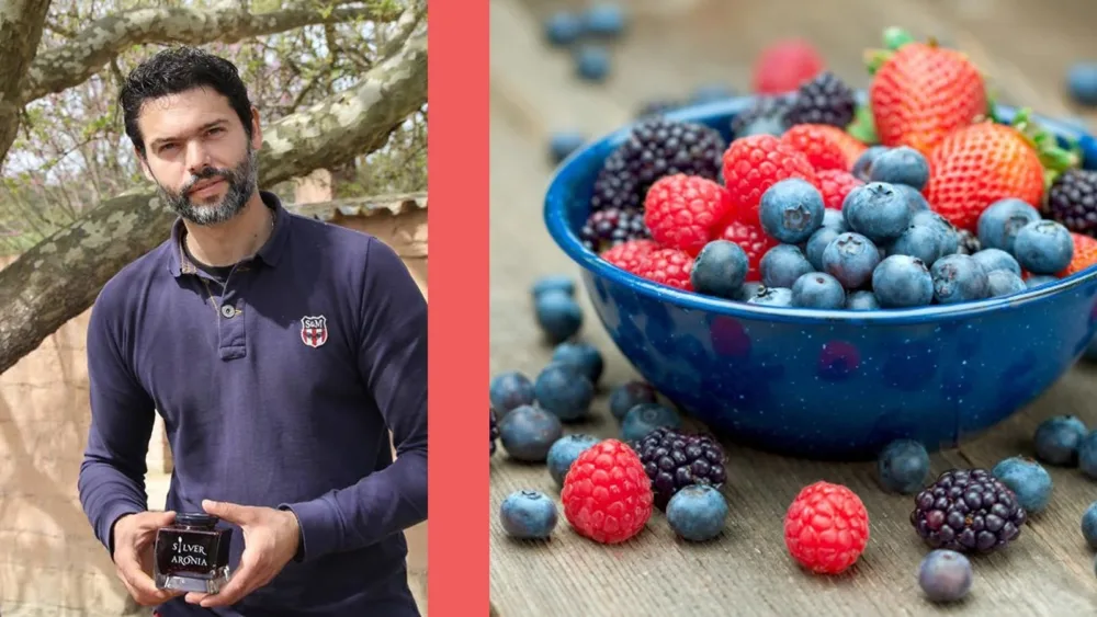 Berryland: Ελληνικές Υπερτροφές