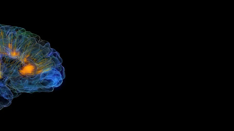 Πως να διαλέξετε εκπαίδευση NLP στην Ελλάδα και το Εξωτερικό [2ο μέρος]