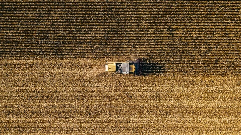 Βιολογικά προϊόντα: Υπάρχουν σημαντικά οφέλη σε σύγκριση με τα συμβατικά;