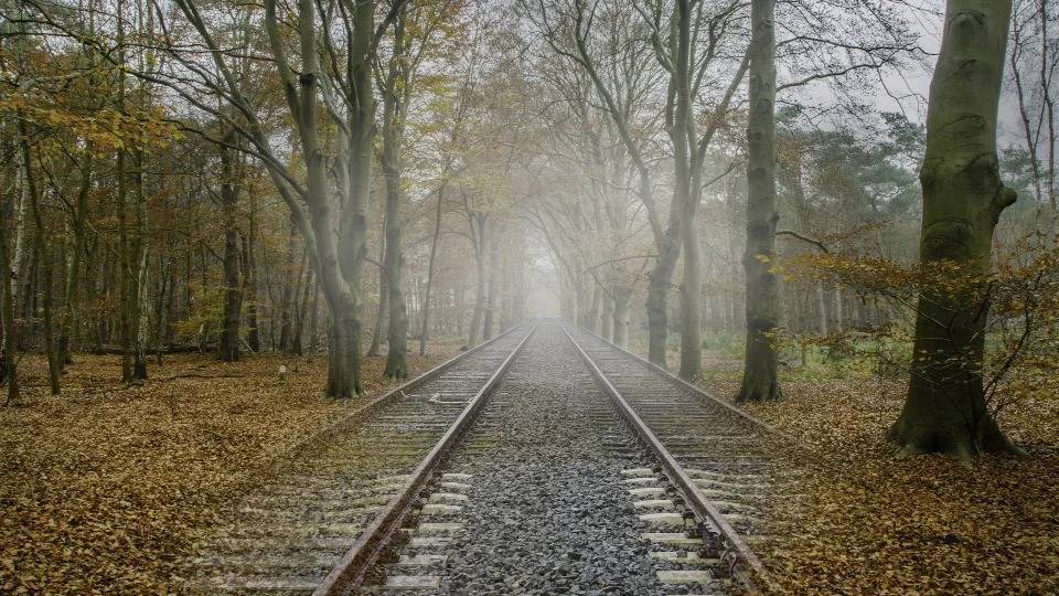 Πώς η διαφθορά συνδέεται με το τρίπτυχο ESG και το ασφαλιστικό underwriting