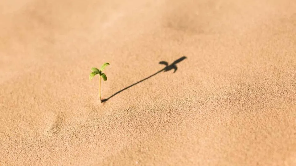 Είναι τα Αδύνατα Δυνατά;