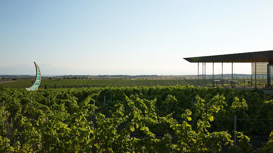 Ταξίδι με τη μηχανή του χρόνου στο Κτήμα Γεροβασιλείου