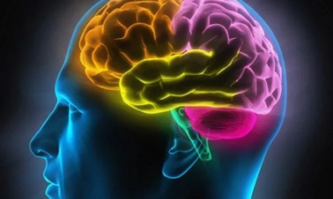 Ανεύρυσμα εγκεφάλου: Οι αιτίες, τα συμπτώματα και η αντιμετώπιση