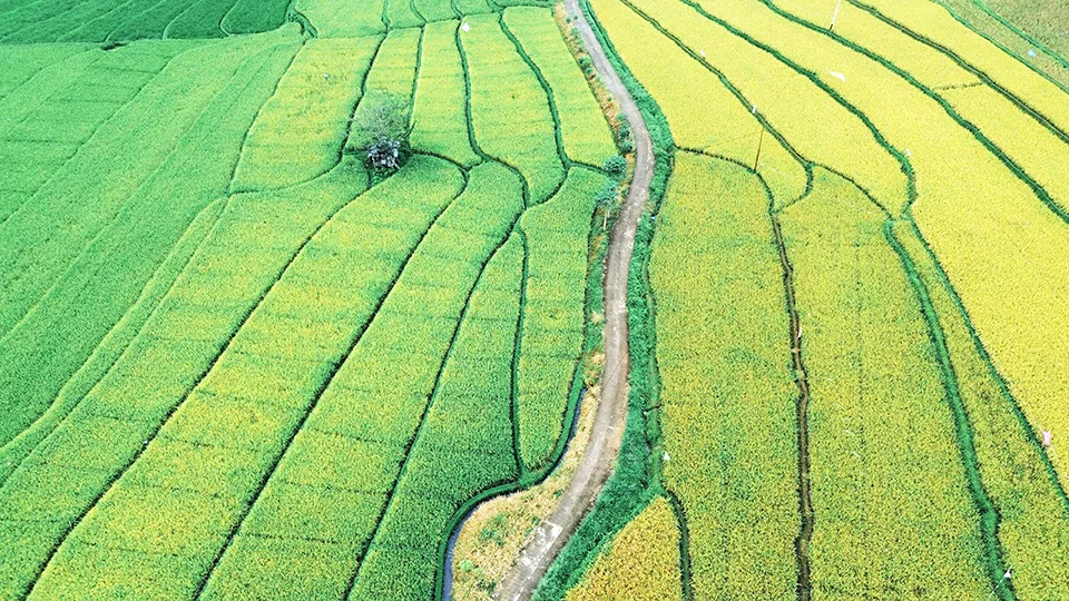 Agribusiness is good. Εταιρείες που πρωτοστατούν στα οργανικά και βιολογικά λιπάσματα