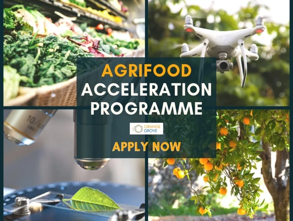 Νέο πρόγραμμα επιχειρηματικής επιτάχυνσης AgriFood από το Orange Grovε
