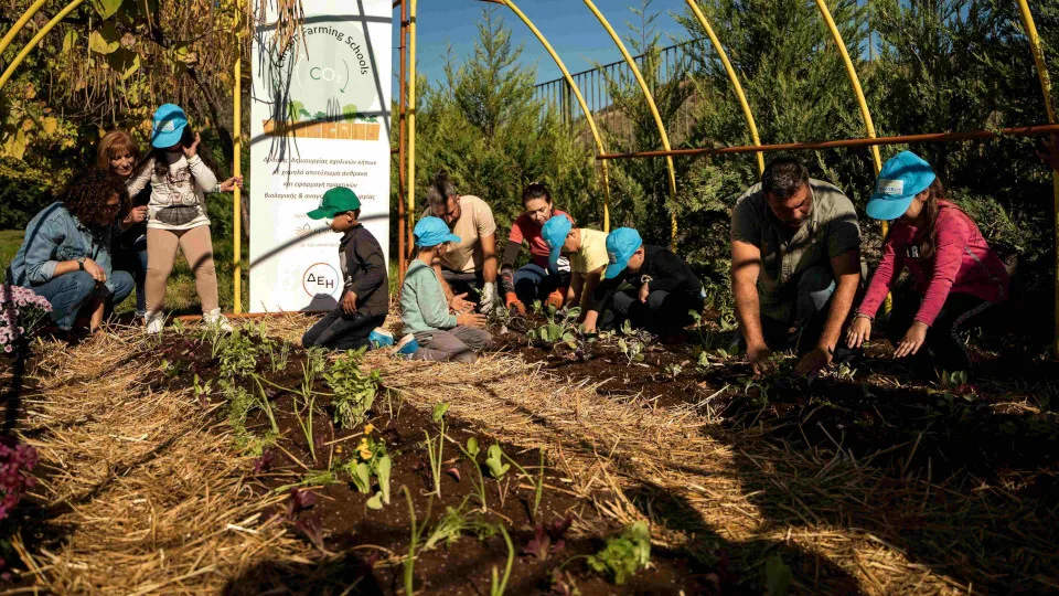ΔΕΗ και Open Farm: Προώθηση βιώσιμης γεωργίας στους μαθητές μέσω του “Carbon Farming Schools”