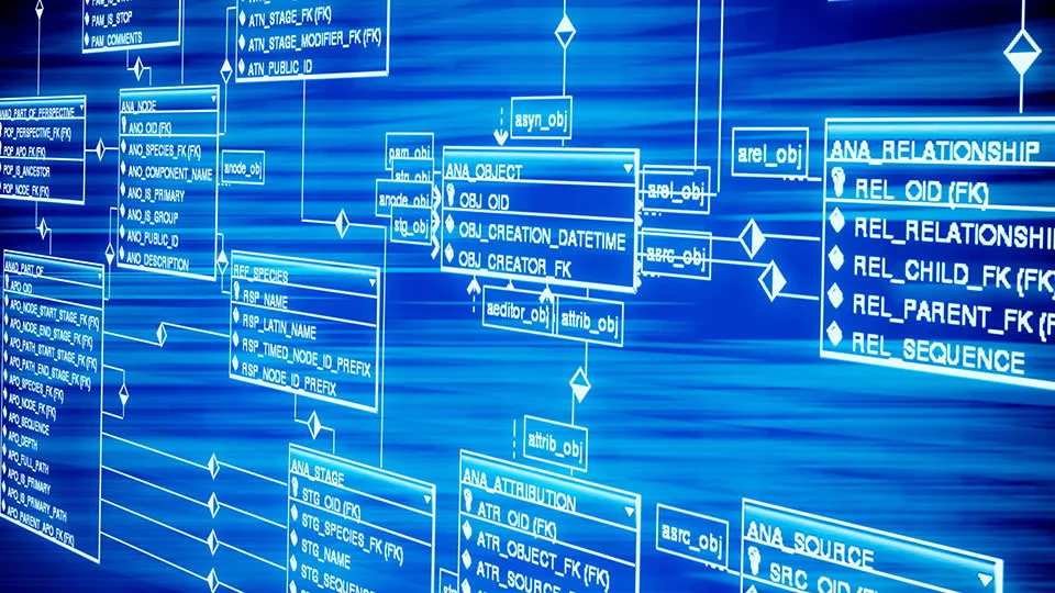 "Θεωρητική και Πρακτική Χρήση Βάσεων Δεδομένων" από το Πανεπιστήμιο Πειραιώς