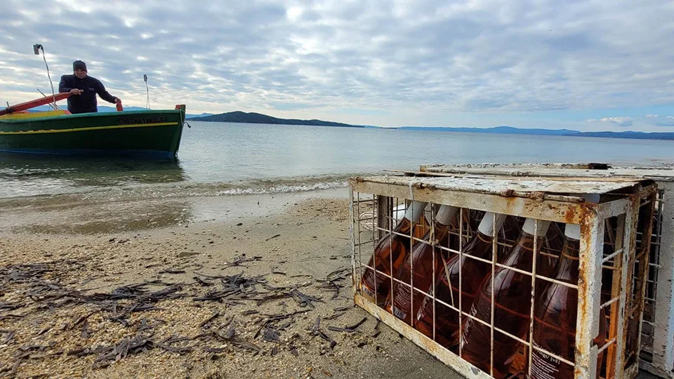 Η συνύπαρξη των στοιχείων της φύσης, ο Ακάνθιος Οίνος​ και το Domaine Agrovision
