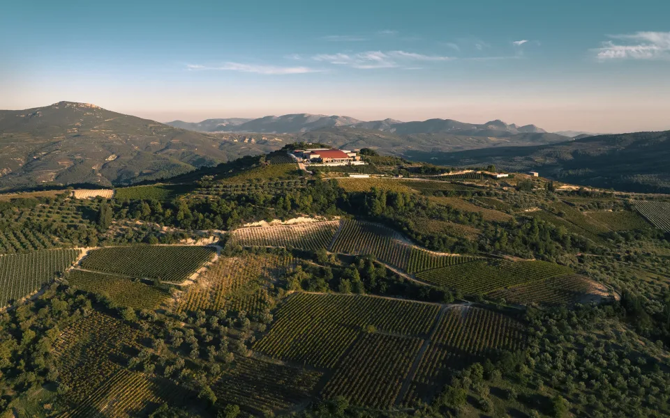 Τα Ελληνικά Οινοποιεία wine sponsor της 29ης Ετήσιας Συζήτησης Στρογγυλής Τραπέζης