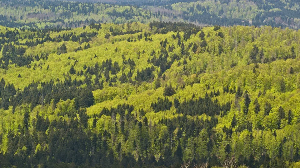 Η Epson επιτυγχάνει το στόχο για 100% ανανεώσιμη ηλεκτρική ενέργεια στην Ευρώπη