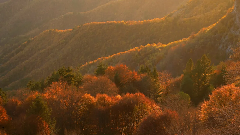 Εκπαιδευτικό σεμινάριο διοργανώνει η Ελληνική Εταιρία Προστασίας της Φύσης για τα δάση και την κλιματική αλλαγή